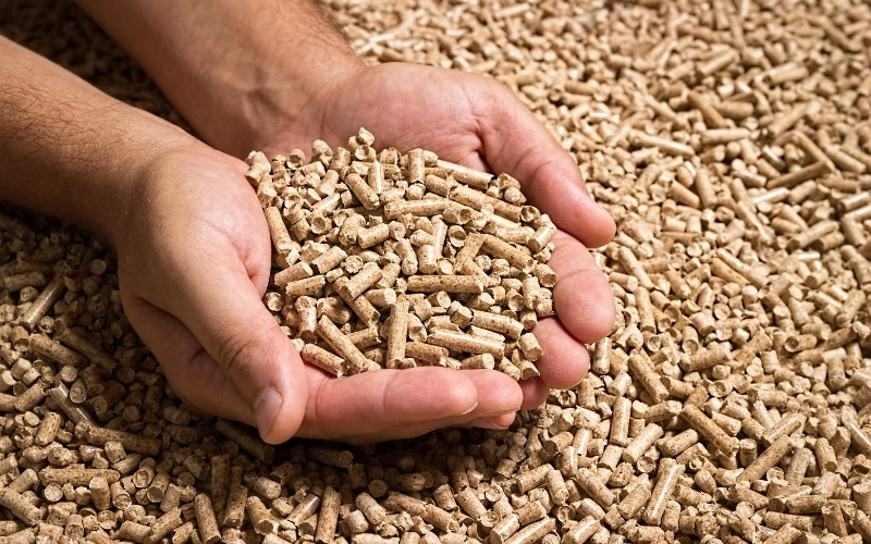 Qué es el pellet el combustible más barato Cadena88